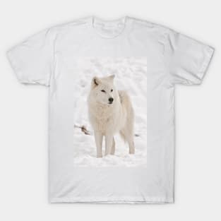 Arctic Wolf T-Shirt